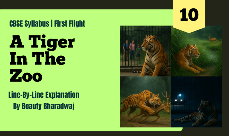 A Tiger in the Zoo