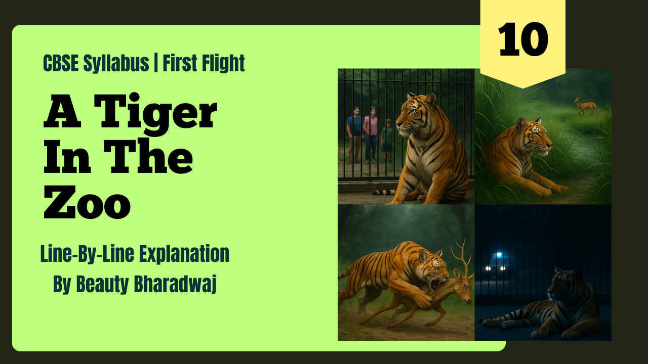 A Tiger in the Zoo