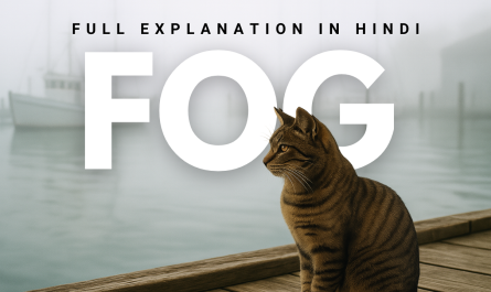 Fog poem by Varl Sandburg